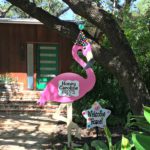 Pink Flamingo Birth Announcement with Party Hat